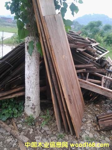 �fɼľ�T���Ԕ����B