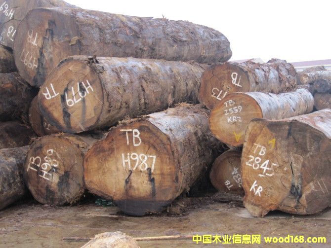 ����TB��Ԕ����B