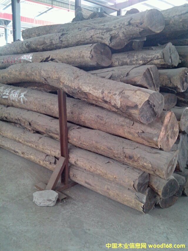 ��z�ľ��Ԕ����B