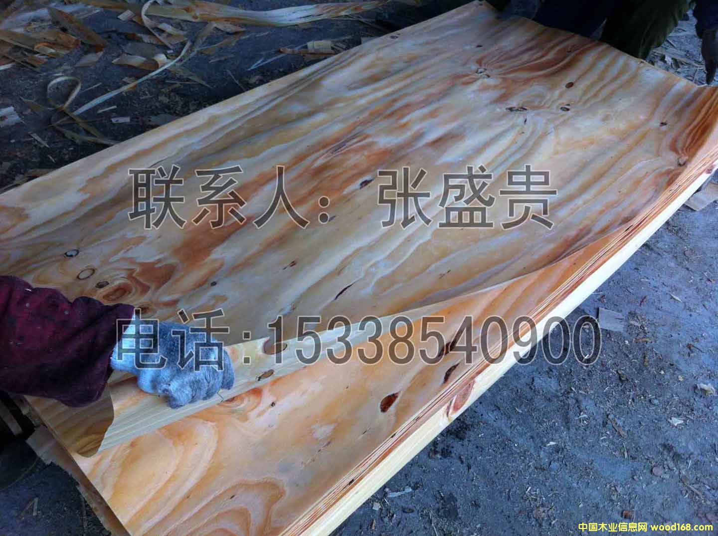 ��ľ�ΰ� ���1.0MM��Ԕ����B