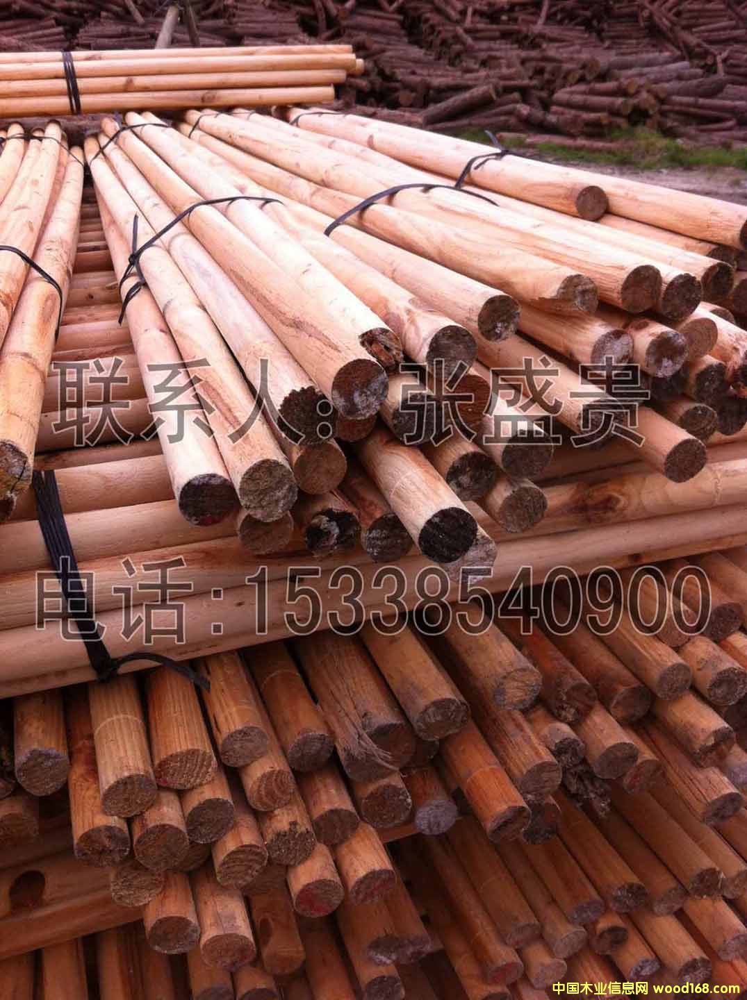 ��ľľо ���ЈA��35MM