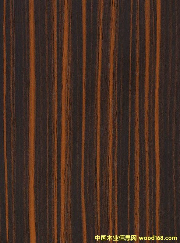 ������������Ԕ��(x��)��B