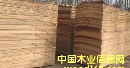 �Ƽ�ľ���rƤ��Ԕ����B