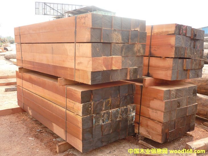 [��] ����������Ʒ�̈́�ľ