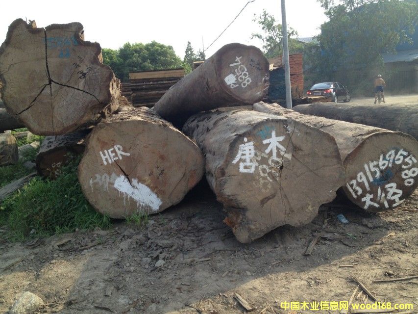 ��ľPM��Ԕ����B