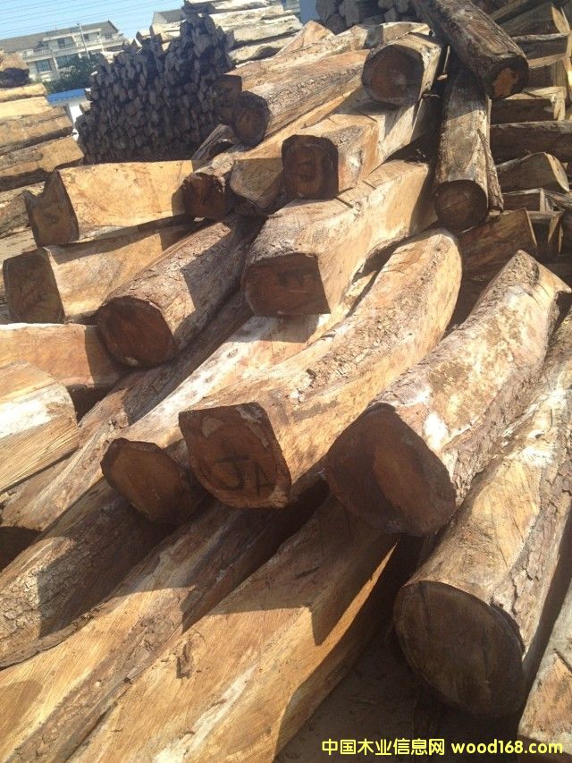 �������Ԕ����B