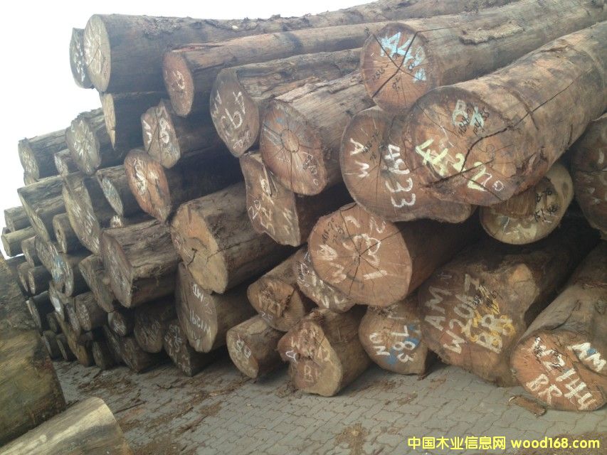 ��Ħ����Ԕ����B