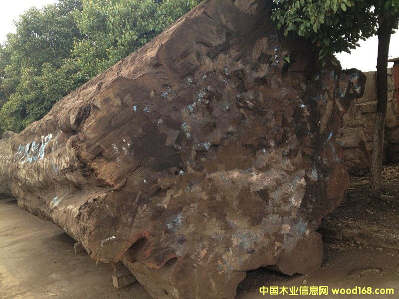 �ͻ���Ԕ����B