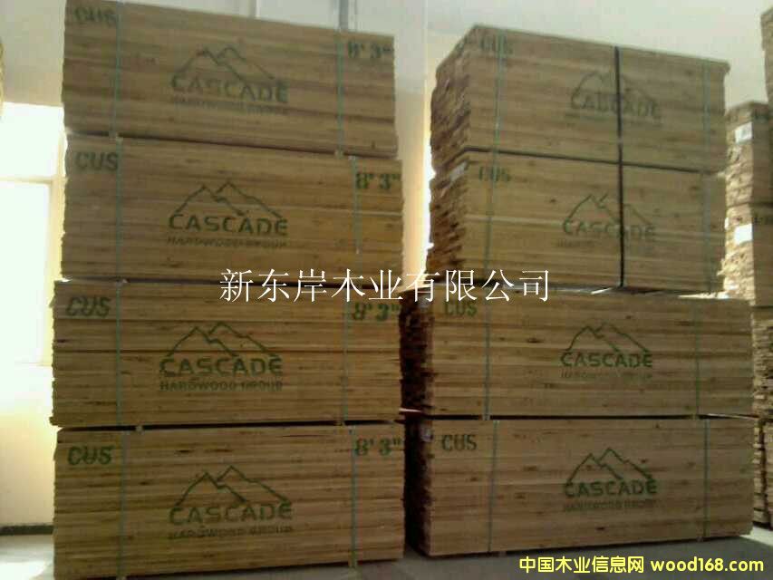 ����-CUS-Cascade