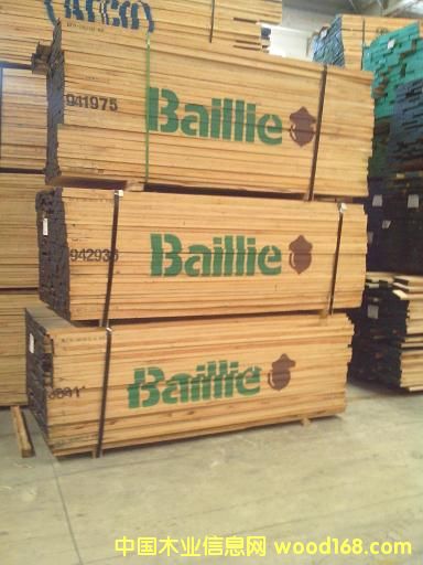 �t�� Baillie