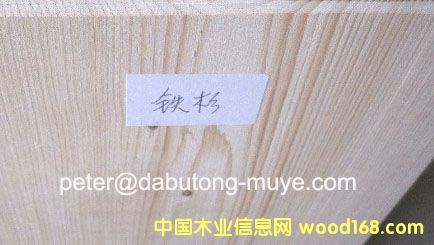 ���ô��Fɼ��Ԕ����B