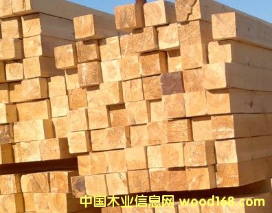 �Ͼ���õķ���ľ�S�ҵ�Ԕ����B