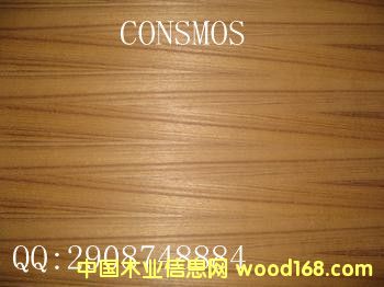 ̩���b��N����Ԕ��(x��)��B