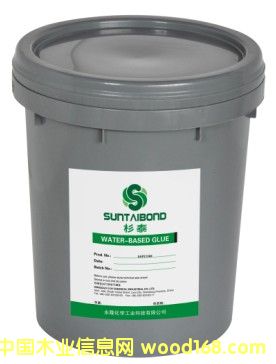 ��������ľ�z SAP21300