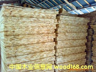 ɼС�lƴ���Ԕ��(x��)��B