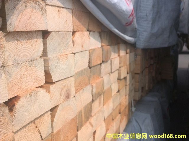 �Ӹ�����SPF2*4*12��Ԕ����B