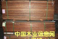 ӡ�Ფ�}���Ԕ��(x��)��B