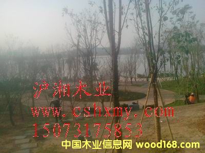 ���Ϸ���ľ�ذ��Ԕ����B