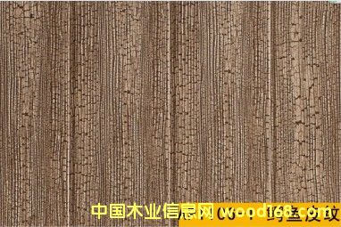 1106-1 �{�~Ƥ�y ƽ��D