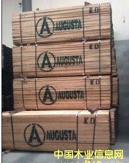 ���l(f��)�t��-�W��˹��