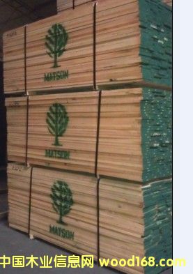 �t��-�~ɭ��Ԕ����B