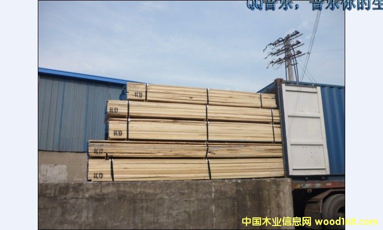 ����(gu��)�S��ח�Z���