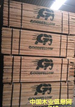 ���l�t��-�����Ԕ����B