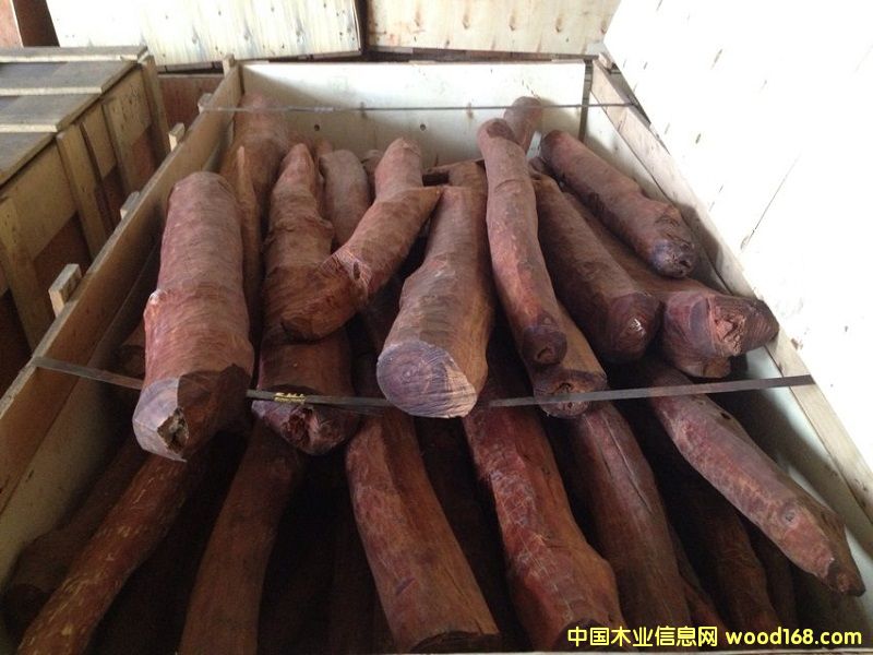 Ѫ��ľ��Ԕ����B