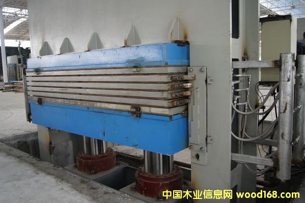 ���֟ቺ�C ľ���ቺ�C ����ľ����Ԕ����B