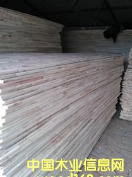 ��ľ���B��о���Ԕ����B