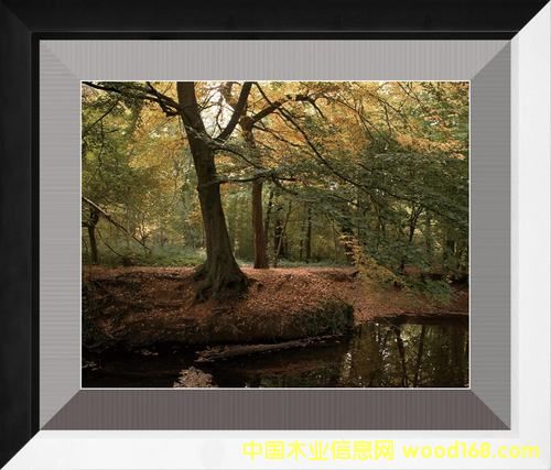 �o��ϵ�е�Ԕ����B