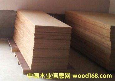 ��Ҿߵ�Ԕ����B