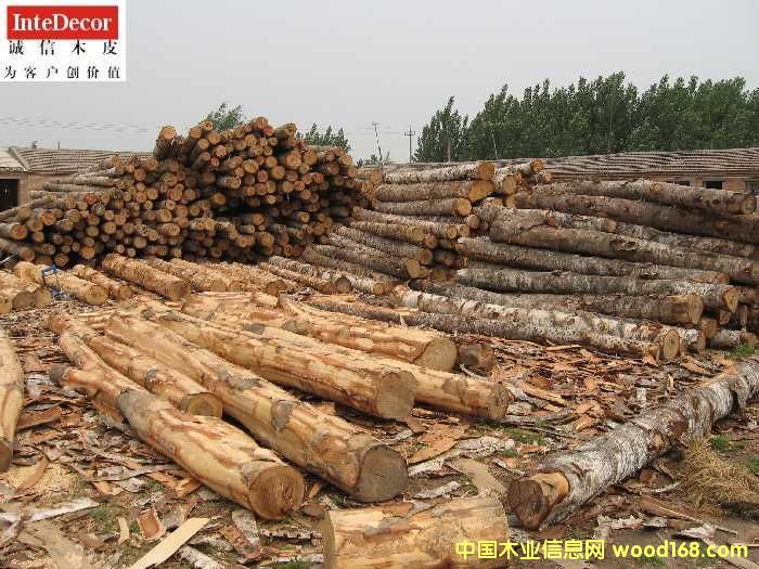 ԭľ��Ԕ����B