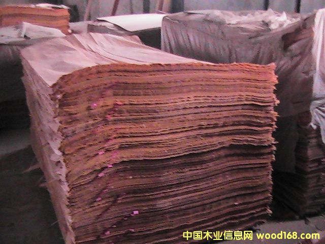 ľƤ��Ԕ����B