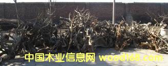 �°�ë�����l��Ԕ����B