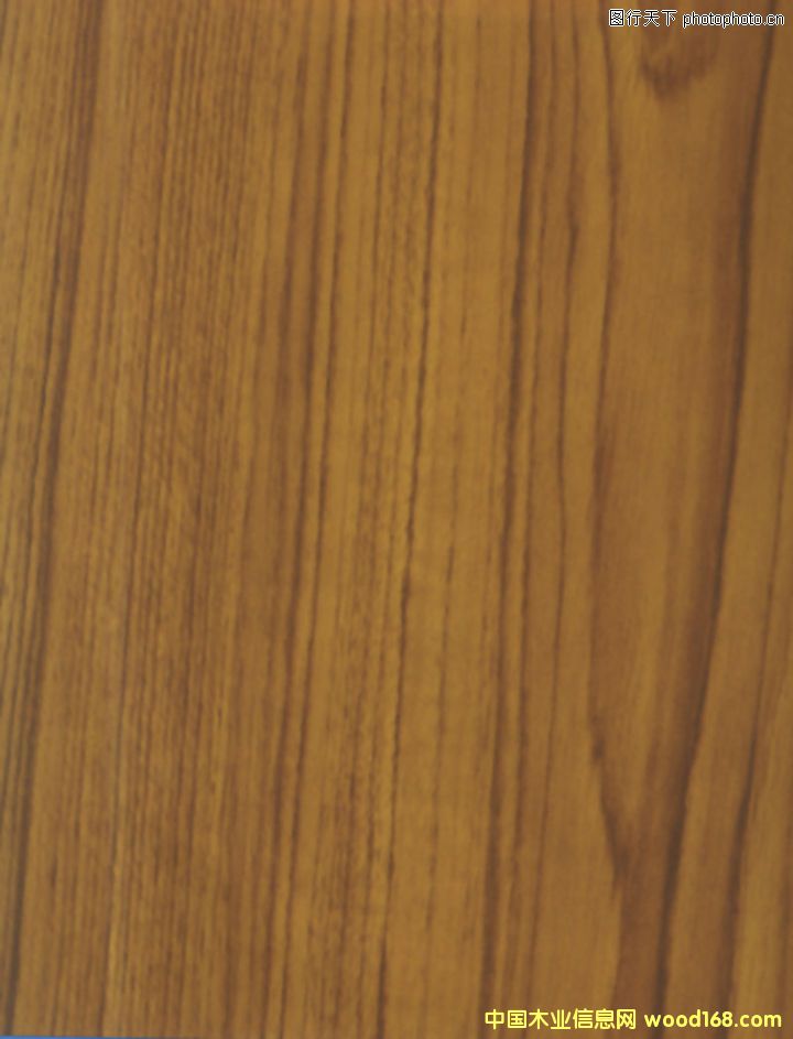 柚木的詳細介紹