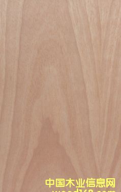 ���Ϙ�ľ��Ԕ����B