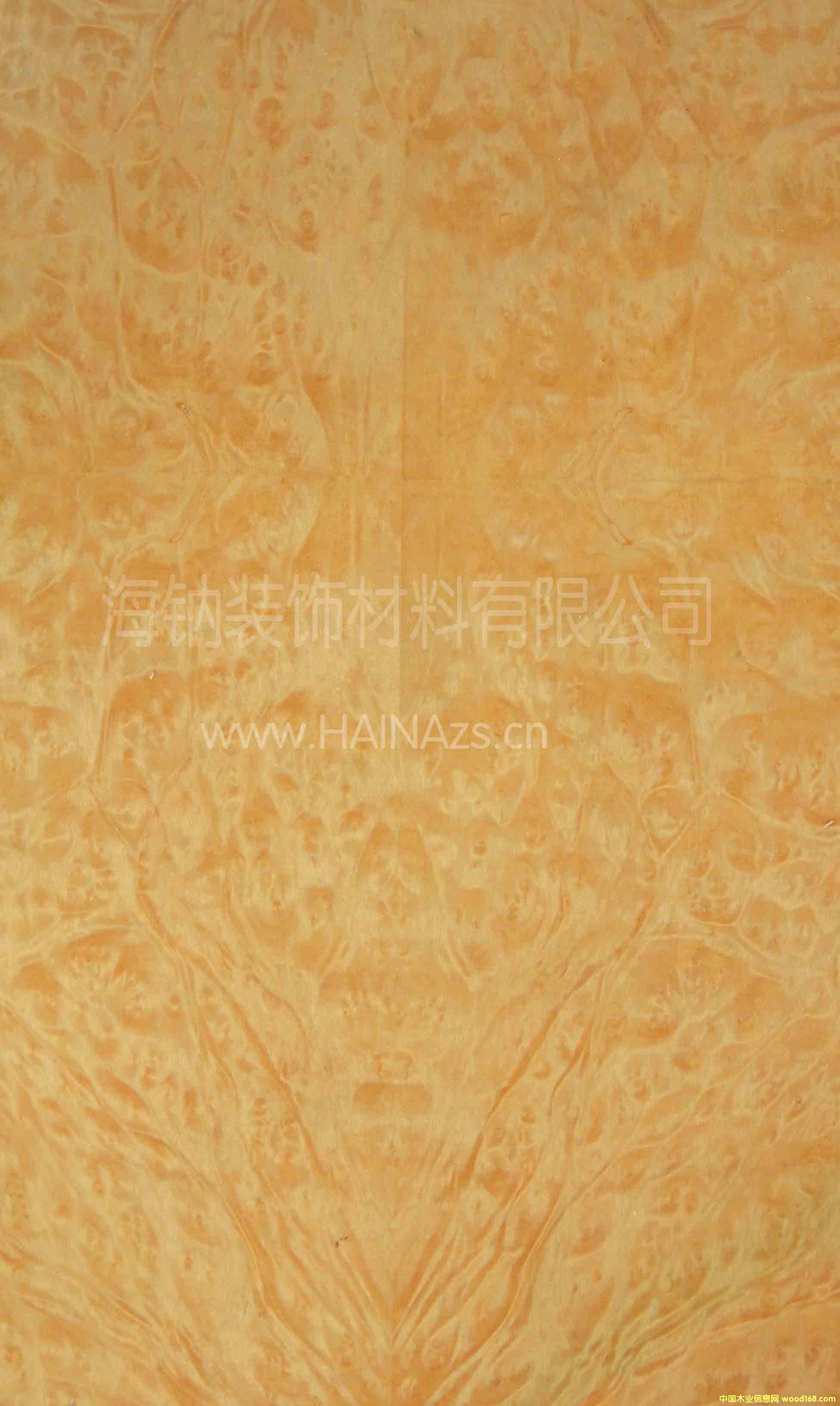 �S�ؘ�(sh��)��