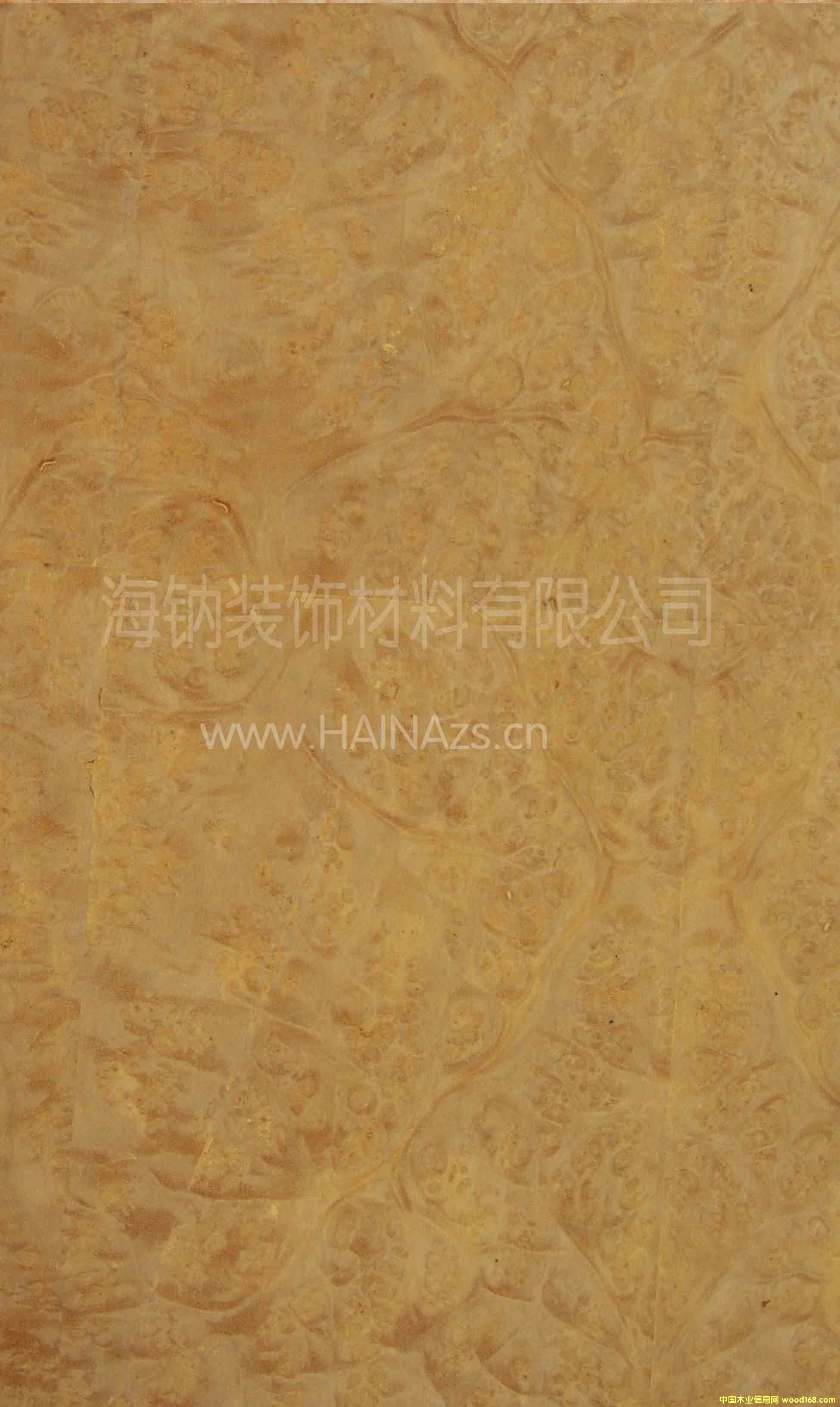 �����(sh��)��