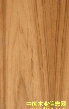 ��ľ��Ԕ����B