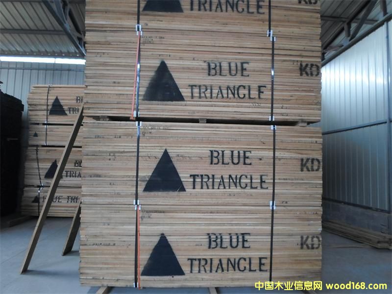 �����Ԕ��(x��)��B