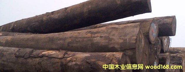 �M(j��n)�� ���� ���޲��}��