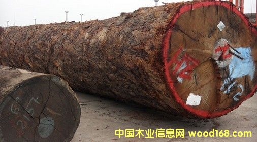 �M�� ��Ʒ���󏽣��ͻ�ԭľ