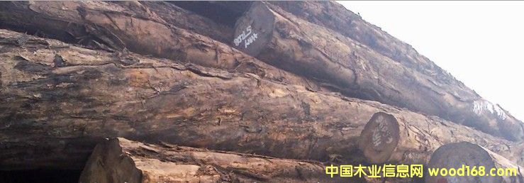 �M(j��n)�� �SӲľ