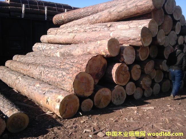 �|�����(y��ng)����ԭľ���ľ����Ԕ��(x��)��B