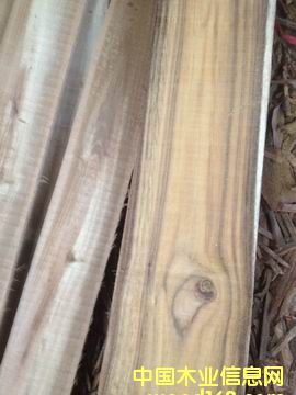 һ���M������ľ��Ԕ����B