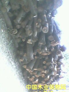 �����Aľ��Ԕ����B