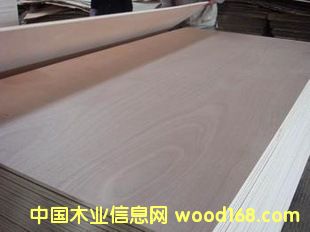 �ؼ��һ�о��Ԕ����B