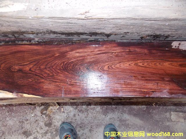 Խ���S�����Ԕ��(x��)��B