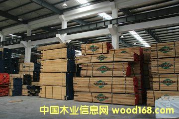 硬楓的詳細介紹